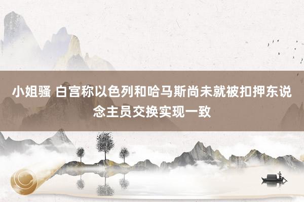 小姐骚 白宫称以色列和哈马斯尚未就被扣押东说念主员交换实现一致