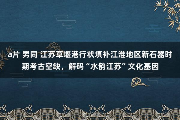 a片 男同 江苏草堰港行状填补江淮地区新石器时期考古空缺，解码“水韵江苏”文化基因