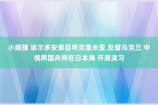 小姐骚 埃尔多安条目将克里米亚 反璧乌克兰 中俄两国舟师在日本海 开展演习