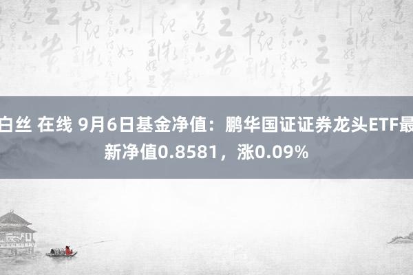 白丝 在线 9月6日基金净值：鹏华国证证券龙头ETF最新净值0.8581，涨0.09%