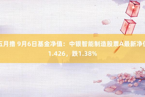 五月撸 9月6日基金净值：中银智能制造股票A最新净值1.426，跌1.38%