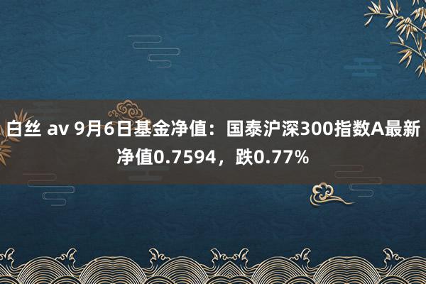 白丝 av 9月6日基金净值：国泰沪深300指数A最新净值0.7594，跌0.77%