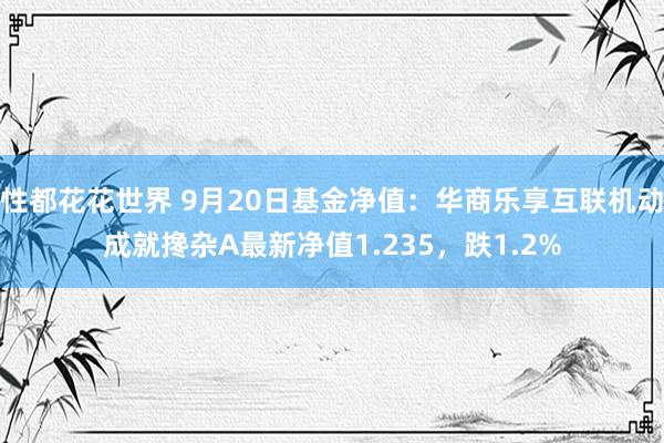 性都花花世界 9月20日基金净值：华商乐享互联机动成就搀杂A最新净值1.235，跌1.2%