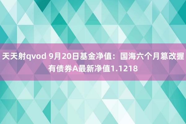 天天射qvod 9月20日基金净值：国海六个月篡改握有债券A最新净值1.1218