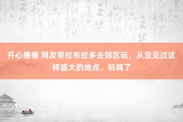 开心播播 网友带拉布拉多去郊区玩，从没见过这样盛大的地点，玩嗨了