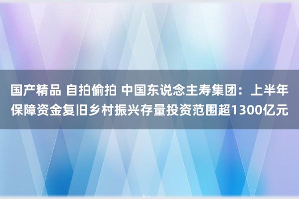 国产精品 自拍偷拍 中国东说念主寿集团：上半年保障资金复旧乡村振兴存量投资范围超1300亿元