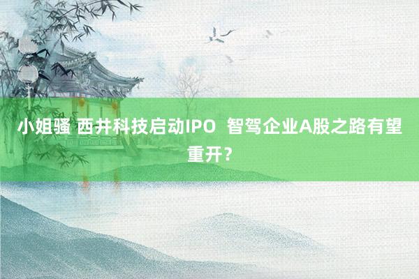 小姐骚 西井科技启动IPO  智驾企业A股之路有望重开？