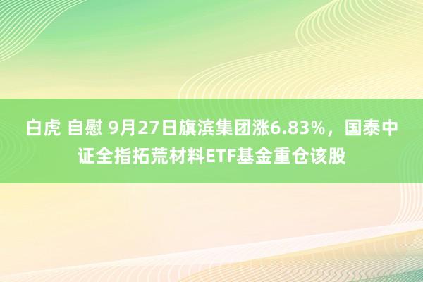 白虎 自慰 9月27日旗滨集团涨6.83%，国泰中证全指拓荒材料ETF基金重仓该股