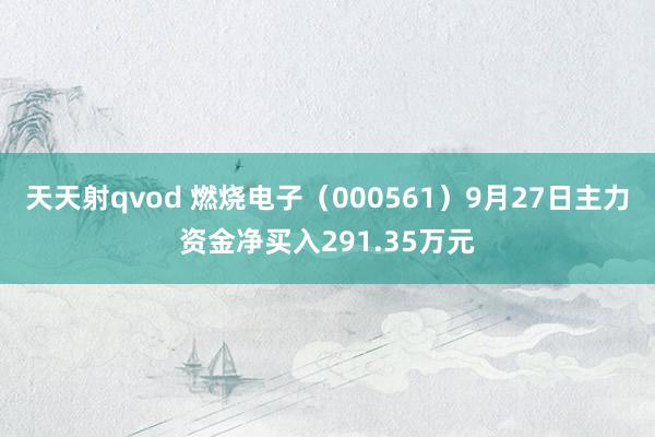 天天射qvod 燃烧电子（000561）9月27日主力资金净买入291.35万元