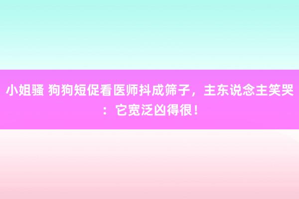 小姐骚 狗狗短促看医师抖成筛子，主东说念主笑哭：它宽泛凶得很！