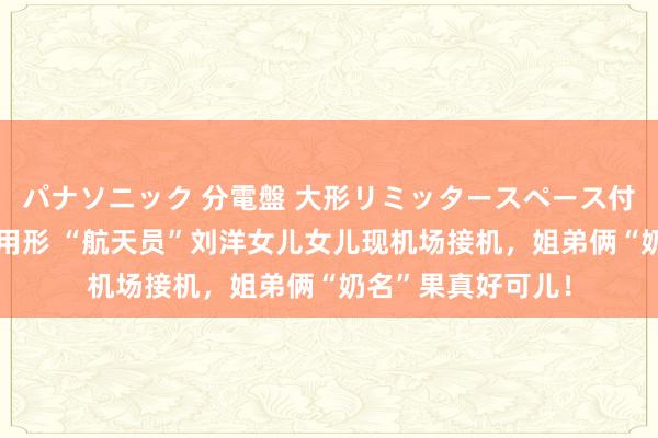 パナソニック 分電盤 大形リミッタースペース付 露出・半埋込両用形 “航天员”刘洋女儿女儿现机场接机，姐弟俩“奶名”果真好可儿！