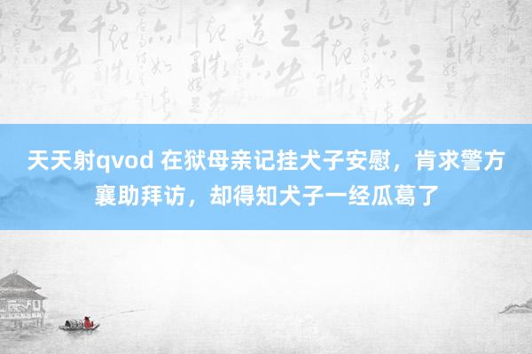 天天射qvod 在狱母亲记挂犬子安慰，肯求警方襄助拜访，却得知犬子一经瓜葛了