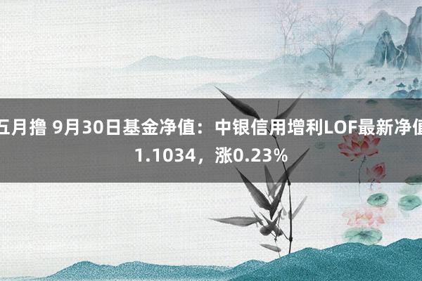 五月撸 9月30日基金净值：中银信用增利LOF最新净值1.1034，涨0.23%