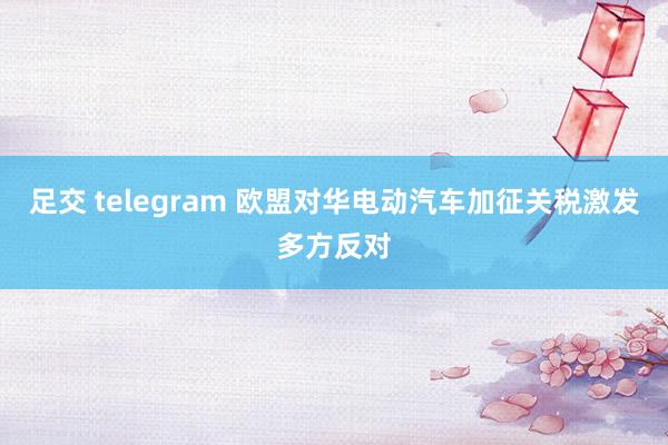 足交 telegram 欧盟对华电动汽车加征关税激发多方反对