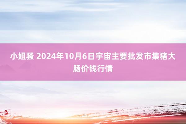 小姐骚 2024年10月6日宇宙主要批发市集猪大肠价钱行情