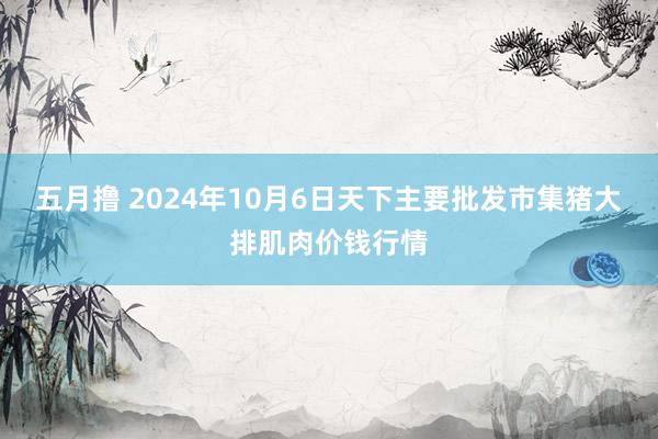 五月撸 2024年10月6日天下主要批发市集猪大排肌肉价钱行情