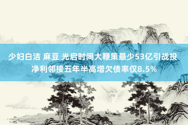 少妇白洁 麻豆 光启时间大鞭策最少53亿引战投 净利邻接五年半高增欠债率仅8.5%