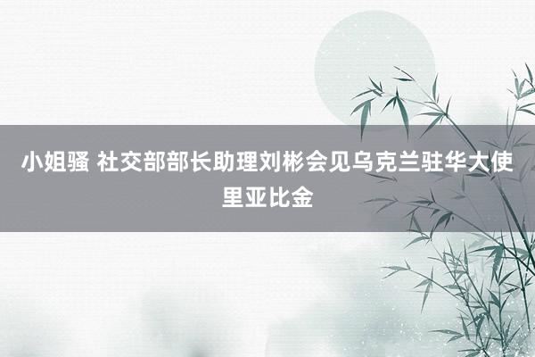 小姐骚 社交部部长助理刘彬会见乌克兰驻华大使里亚比金