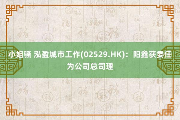 小姐骚 泓盈城市工作(02529.HK)：阳鑫获委任为公司总司理