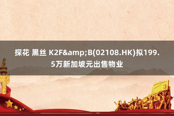 探花 黑丝 K2F&B(02108.HK)拟199.5万新加坡元出售物业