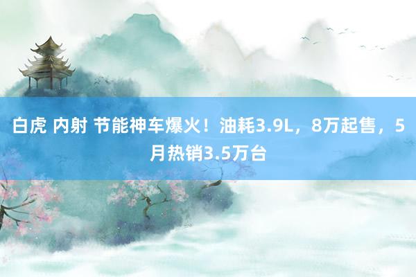 白虎 内射 节能神车爆火！油耗3.9L，8万起售，5月热销3.5万台