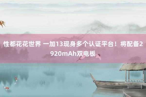 性都花花世界 一加13现身多个认证平台！将配备2920mAh双电板