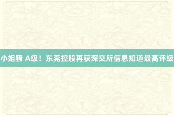 小姐骚 A级！东莞控股再获深交所信息知道最高评级