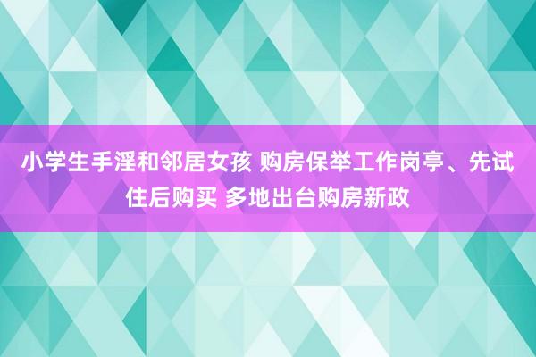 小学生手淫和邻居女孩 购房保举工作岗亭、先试住后购买 多地出台购房新政