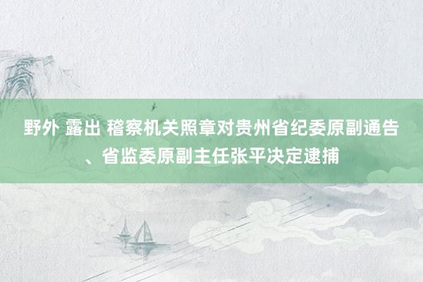 野外 露出 稽察机关照章对贵州省纪委原副通告、省监委原副主任张平决定逮捕