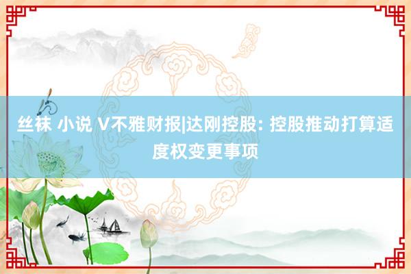 丝袜 小说 V不雅财报|达刚控股: 控股推动打算适度权变更事项