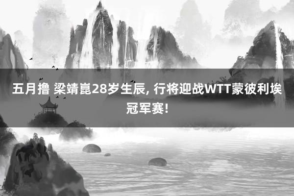 五月撸 梁靖崑28岁生辰， 行将迎战WTT蒙彼利埃冠军赛!