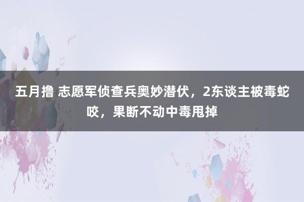 五月撸 志愿军侦查兵奥妙潜伏，2东谈主被毒蛇咬，果断不动中毒甩掉