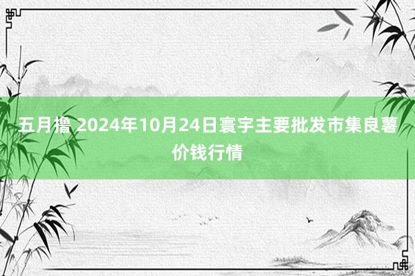 五月撸 2024年10月24日寰宇主要批发市集良薯价钱行情