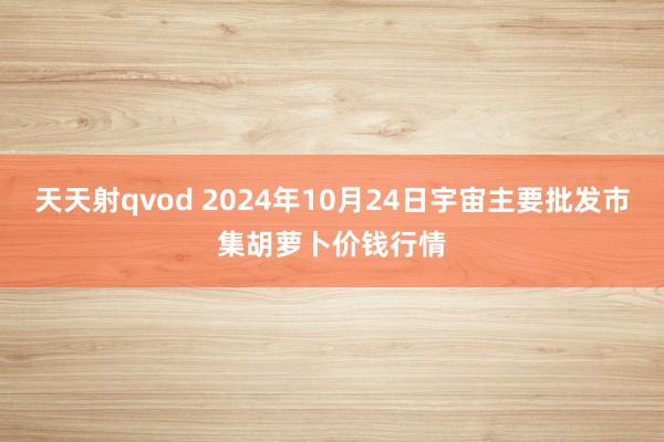 天天射qvod 2024年10月24日宇宙主要批发市集胡萝卜价钱行情