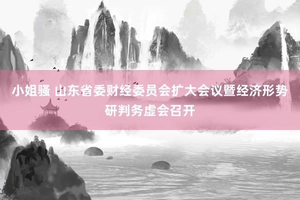 小姐骚 山东省委财经委员会扩大会议暨经济形势研判务虚会召开