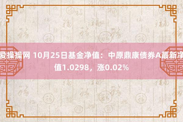 爱操操网 10月25日基金净值：中原鼎康债券A最新净值1.0298，涨0.02%