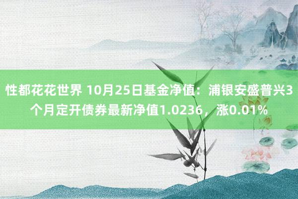 性都花花世界 10月25日基金净值：浦银安盛普兴3个月定开债券最新净值1.0236，涨0.01%