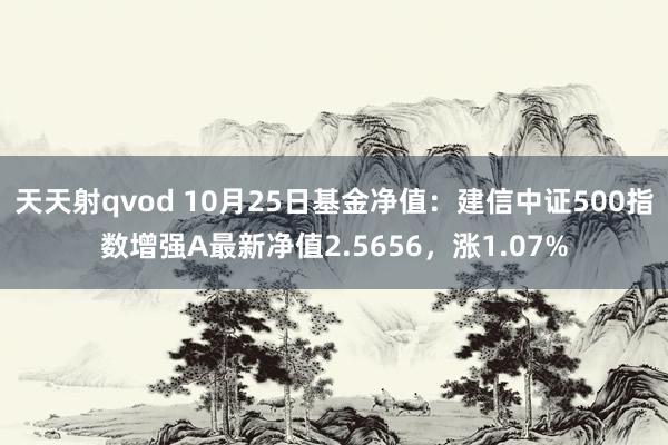 天天射qvod 10月25日基金净值：建信中证500指数增强A最新净值2.5656，涨1.07%