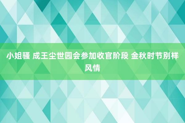 小姐骚 成王尘世园会参加收官阶段 金秋时节别样风情