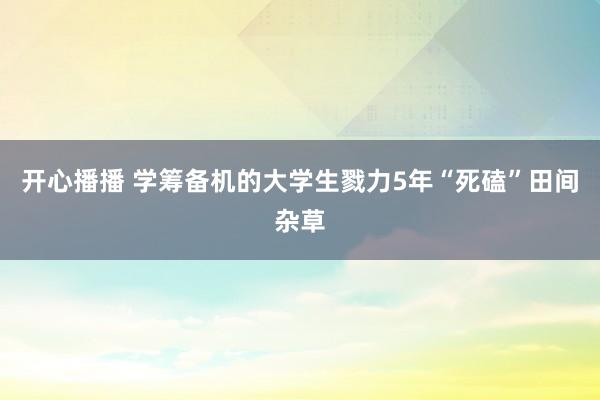 开心播播 学筹备机的大学生戮力5年“死磕”田间杂草