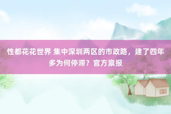 性都花花世界 集中深圳两区的市政路，建了四年多为何停滞？官方禀报