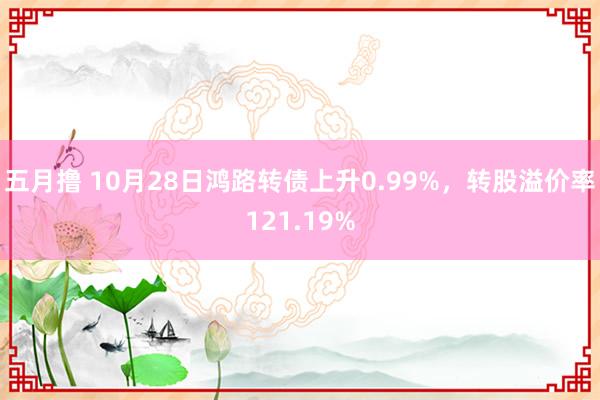 五月撸 10月28日鸿路转债上升0.99%，转股溢价率121.19%