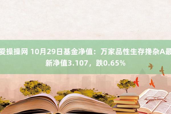 爱操操网 10月29日基金净值：万家品性生存搀杂A最新净值3.107，跌0.65%