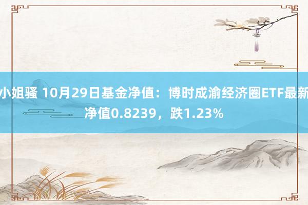 小姐骚 10月29日基金净值：博时成渝经济圈ETF最新净值0.8239，跌1.23%