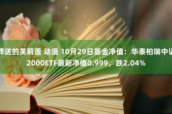 葬送的芙莉莲 动漫 10月29日基金净值：华泰柏瑞中证2000ETF最新净值0.999，跌2.04%