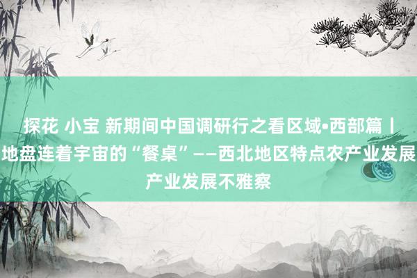 探花 小宝 新期间中国调研行之看区域•西部篇丨这里的地盘连着宇宙的“餐桌”——西北地区特点农产业发展不雅察