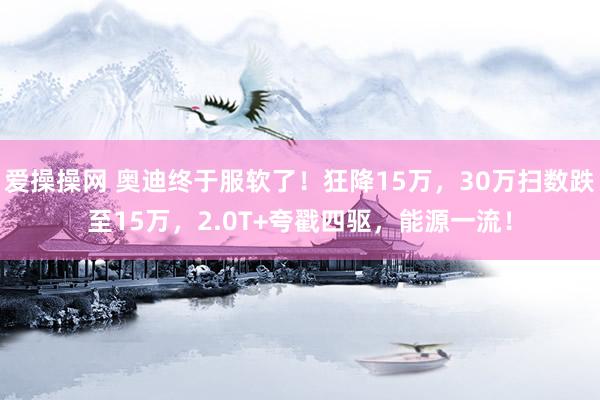 爱操操网 奥迪终于服软了！狂降15万，30万扫数跌至15万，2.0T+夸戳四驱，能源一流！