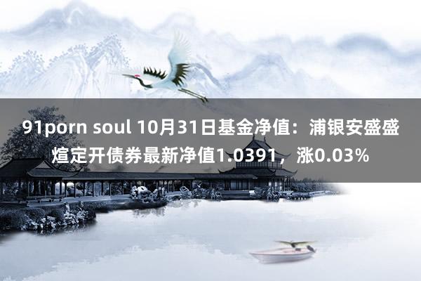 91porn soul 10月31日基金净值：浦银安盛盛煊定开债券最新净值1.0391，涨0.03%