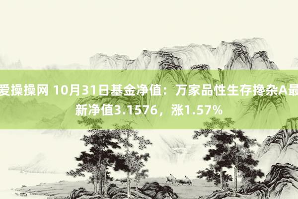 爱操操网 10月31日基金净值：万家品性生存搀杂A最新净值3.1576，涨1.57%