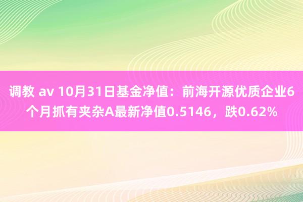 调教 av 10月31日基金净值：前海开源优质企业6个月抓有夹杂A最新净值0.5146，跌0.62%